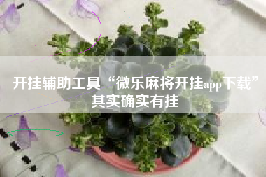 开挂辅助工具“微乐麻将开挂app下载	”其实确实有挂