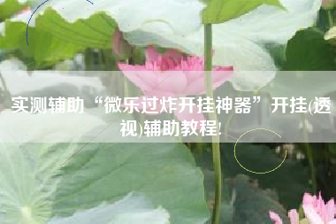 实测辅助“微乐过炸开挂神器”开挂(透视)辅助教程!