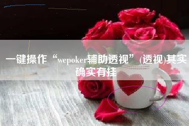 一键操作“wepoker辅助透视”(透视)其实确实有挂