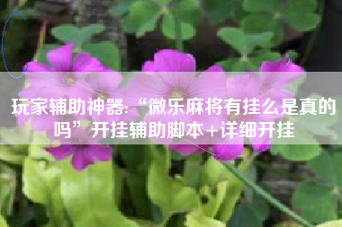 玩家辅助神器:“微乐麻将有挂么是真的吗	”开挂辅助脚本+详细开挂