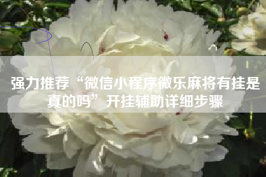 强力推荐“微信小程序微乐麻将有挂是真的吗	”开挂辅助详细步骤