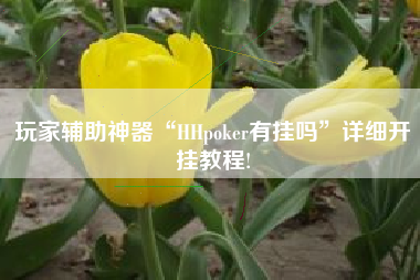 玩家辅助神器“HHpoker有挂吗”详细开挂教程!