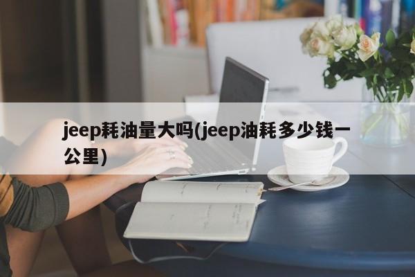 jeep耗油量大吗(jeep油耗多少钱一公里)