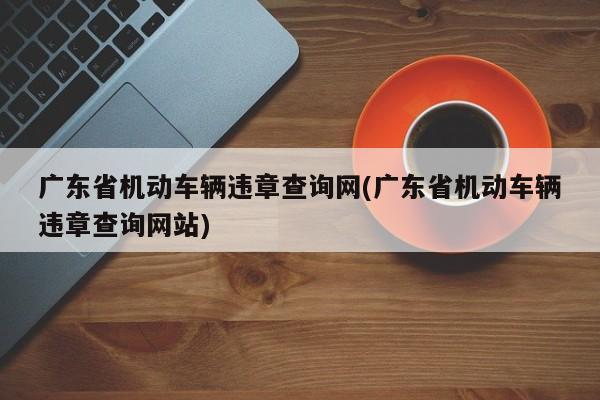 广东省机动车辆违章查询网(广东省机动车辆违章查询网站)