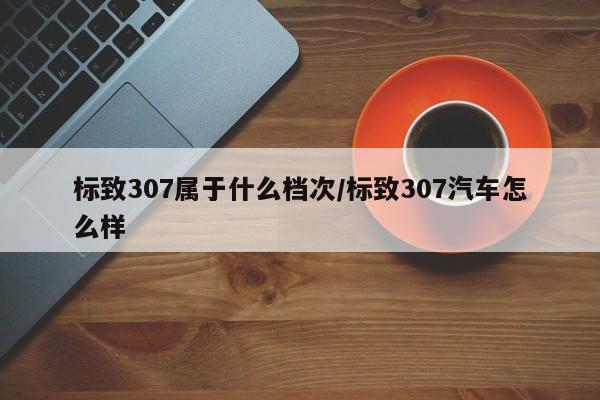 标致307属于什么档次/标致307汽车怎么样